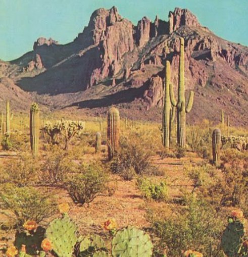 Apache Junction