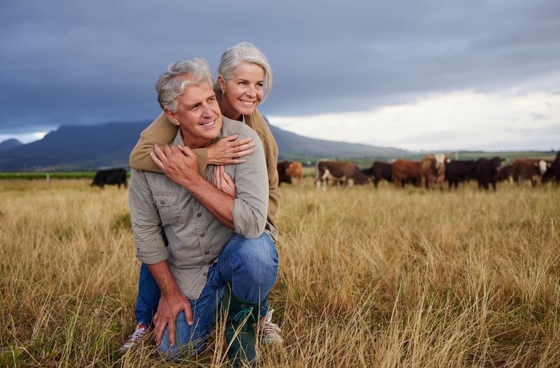 Loving couple with cattle in background